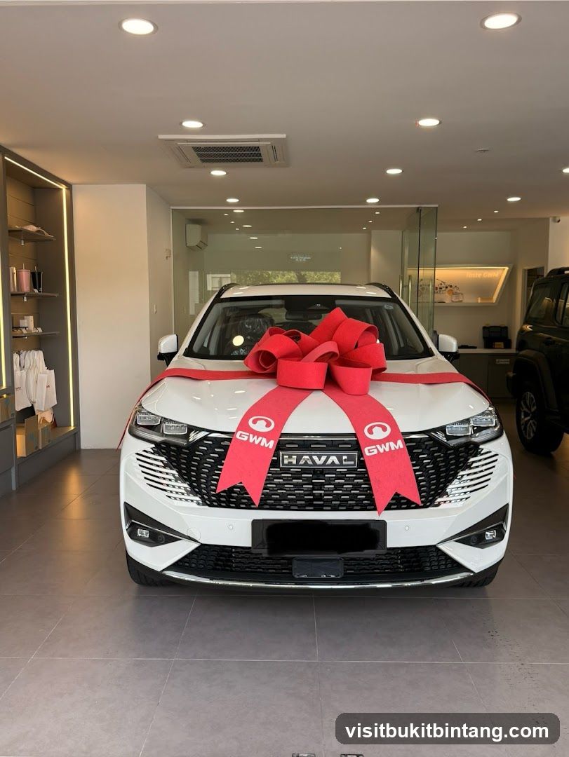 New Car Display