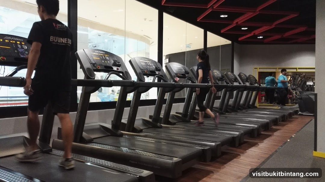 Gym Treadmills
