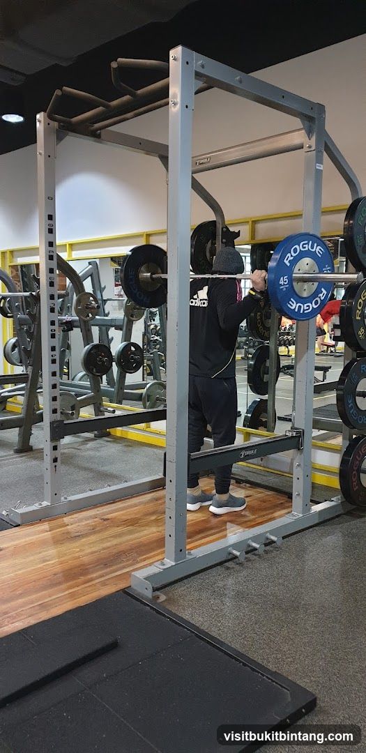 Gym Squat Rack