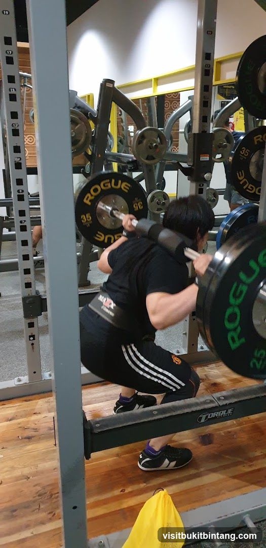 Person performing a barbell squat