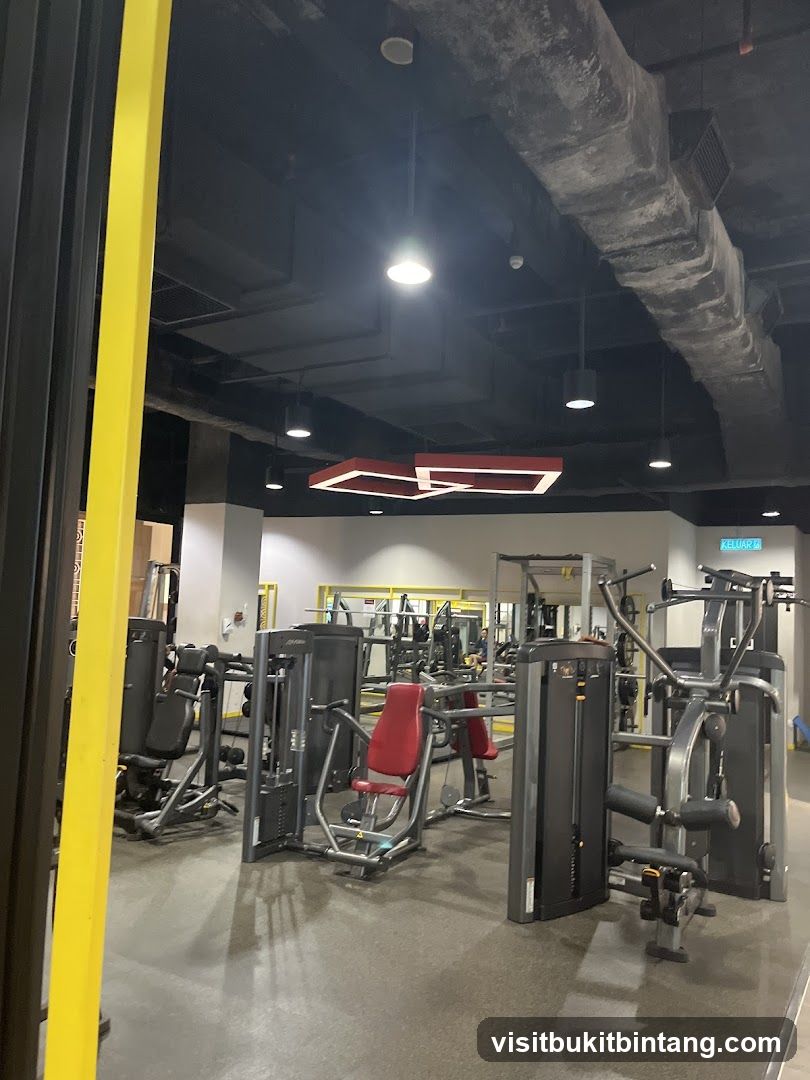 Gym Interior