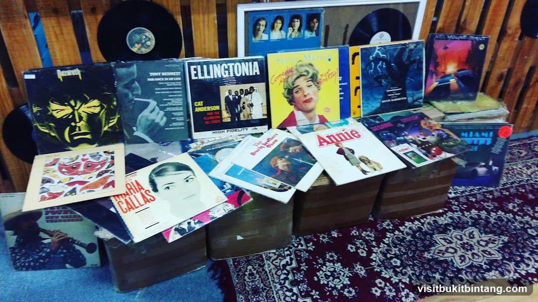 Collection of Vinyl Records