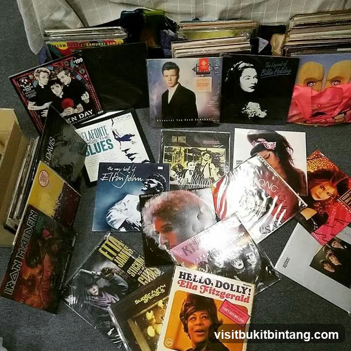 Collection of Vinyl Records