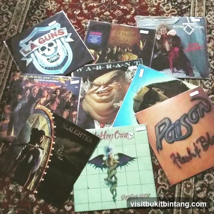 Collection of Vinyl Records