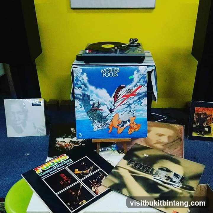 Record Collection Display