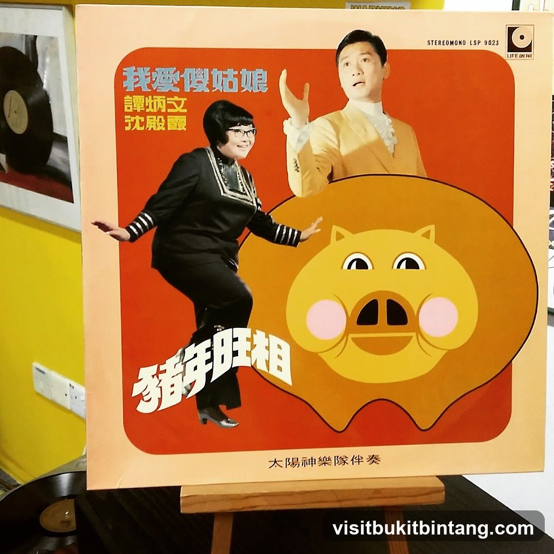 Album Cover with Performers and Cartoon Pig