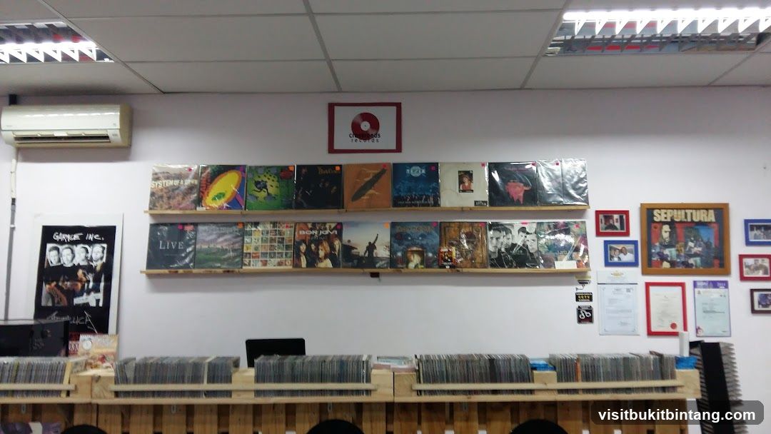 Record Store Display