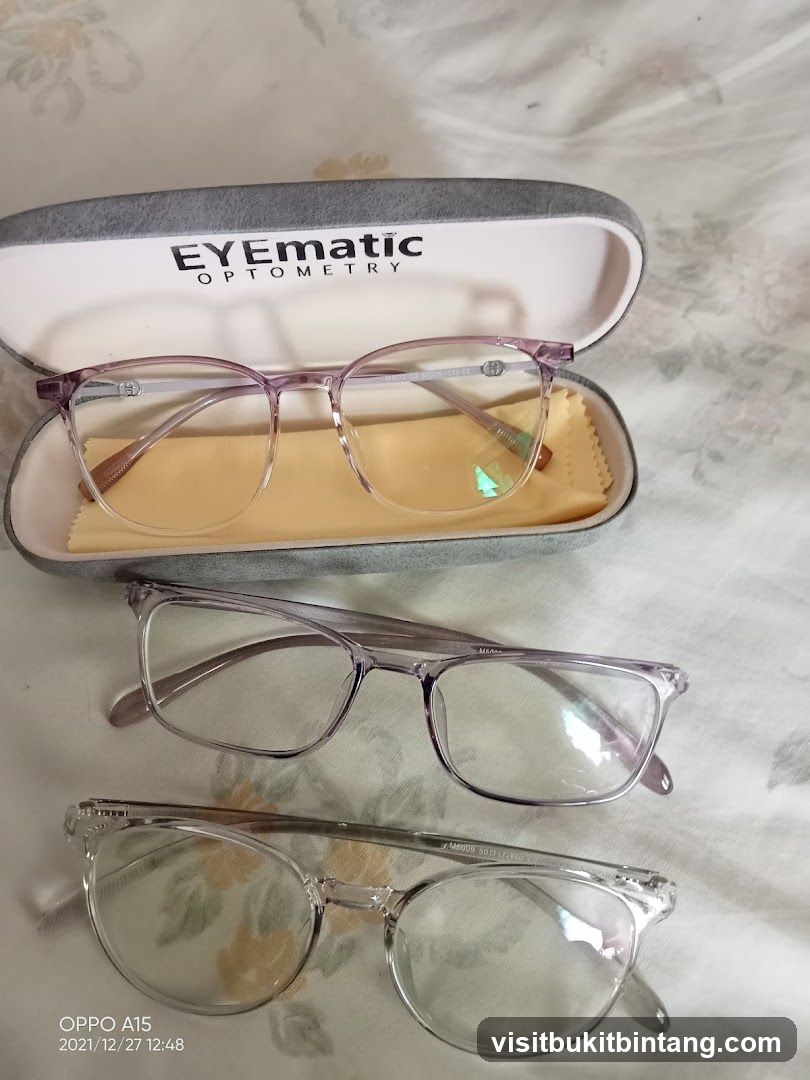 Eyeglasses and Case