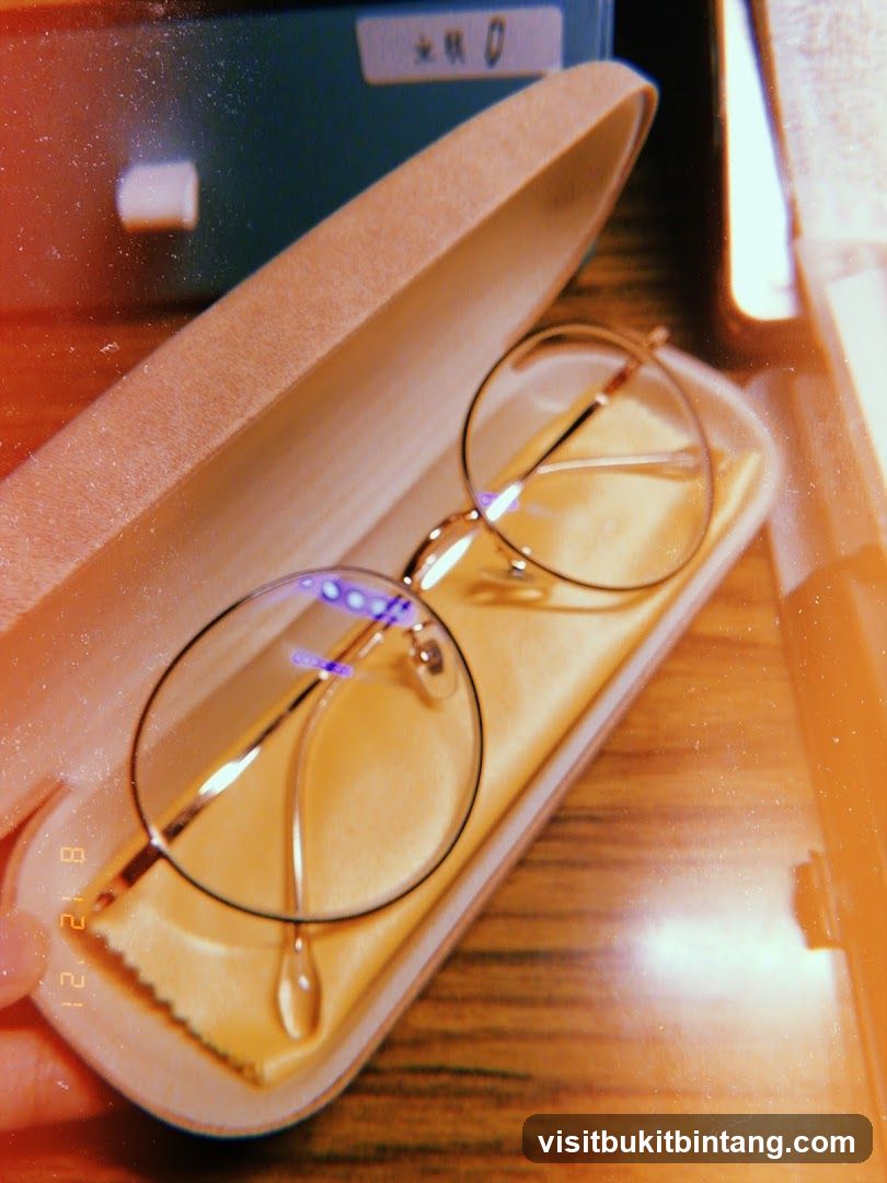 Eyeglasses in Case