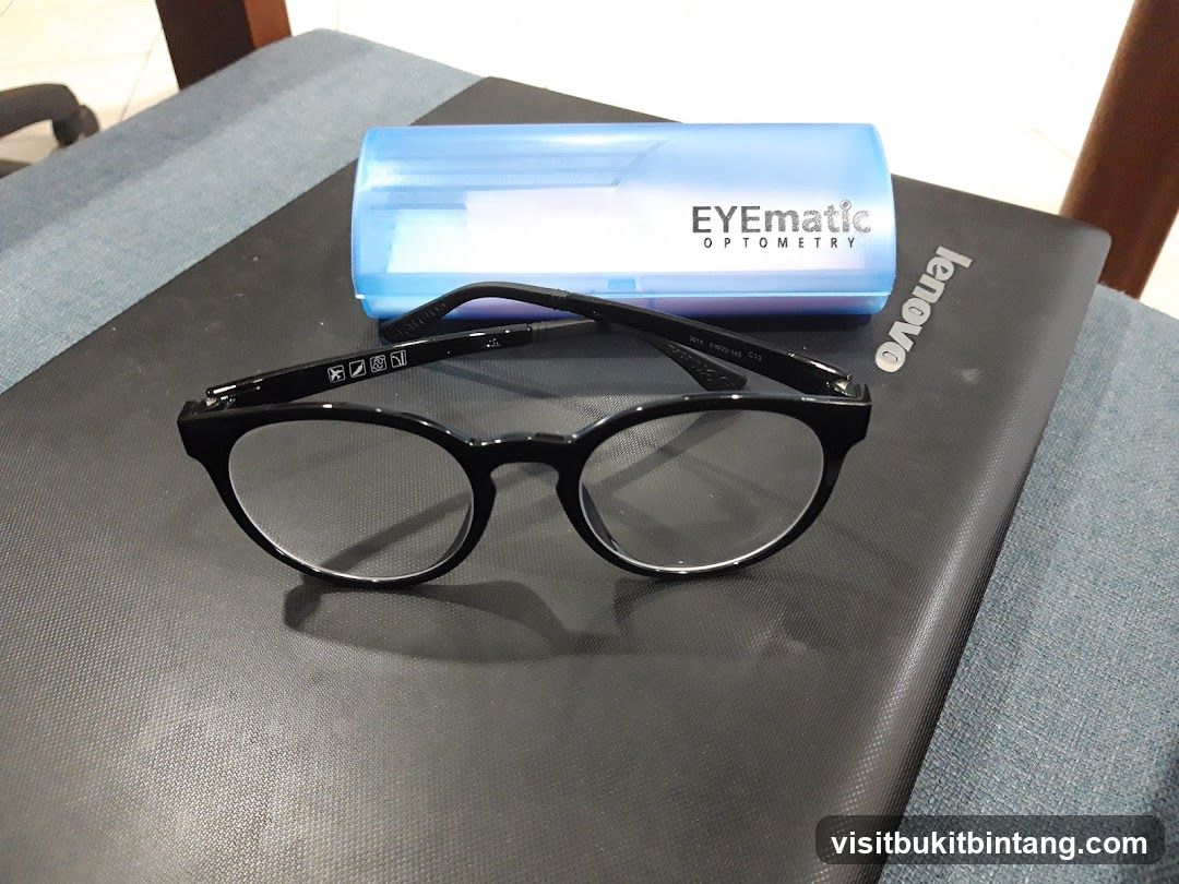 Eyeglasses and Case