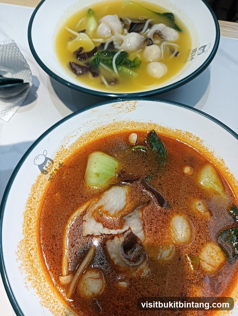 Two bowls of soup