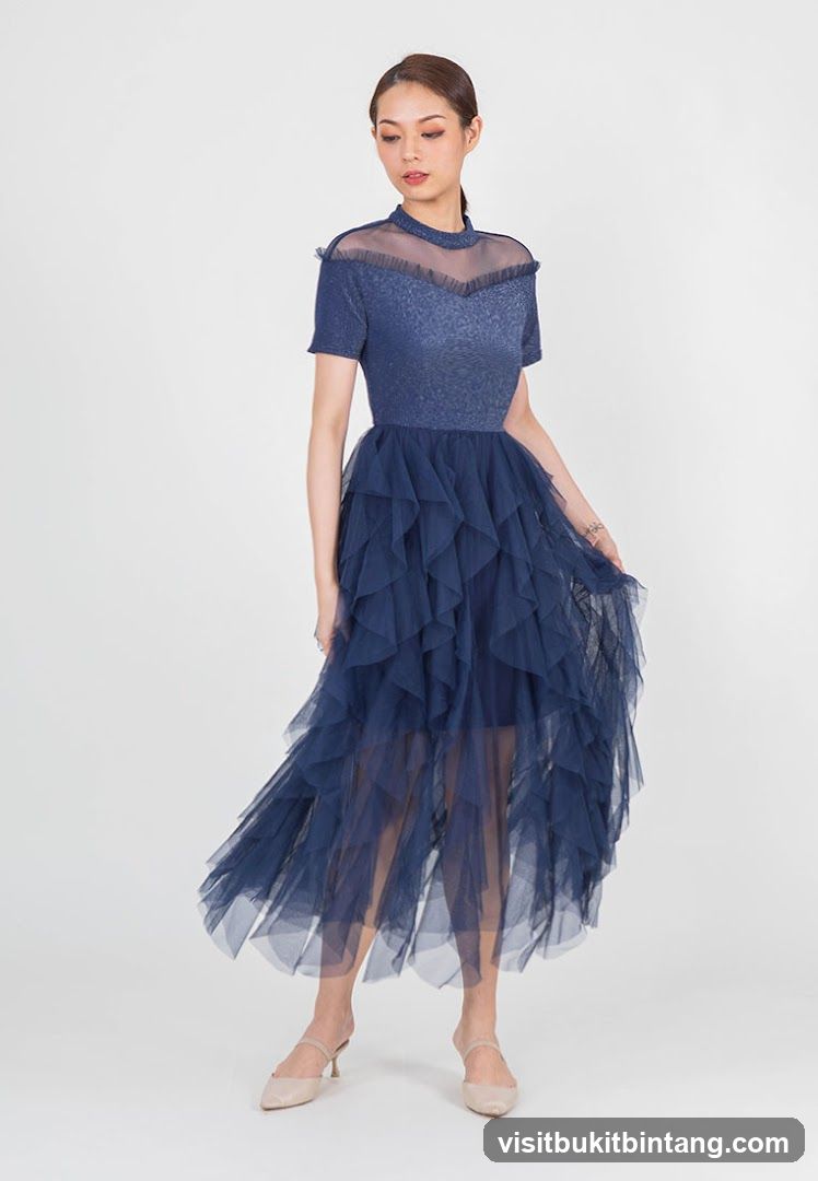 Woman in a Blue Tulle Dress