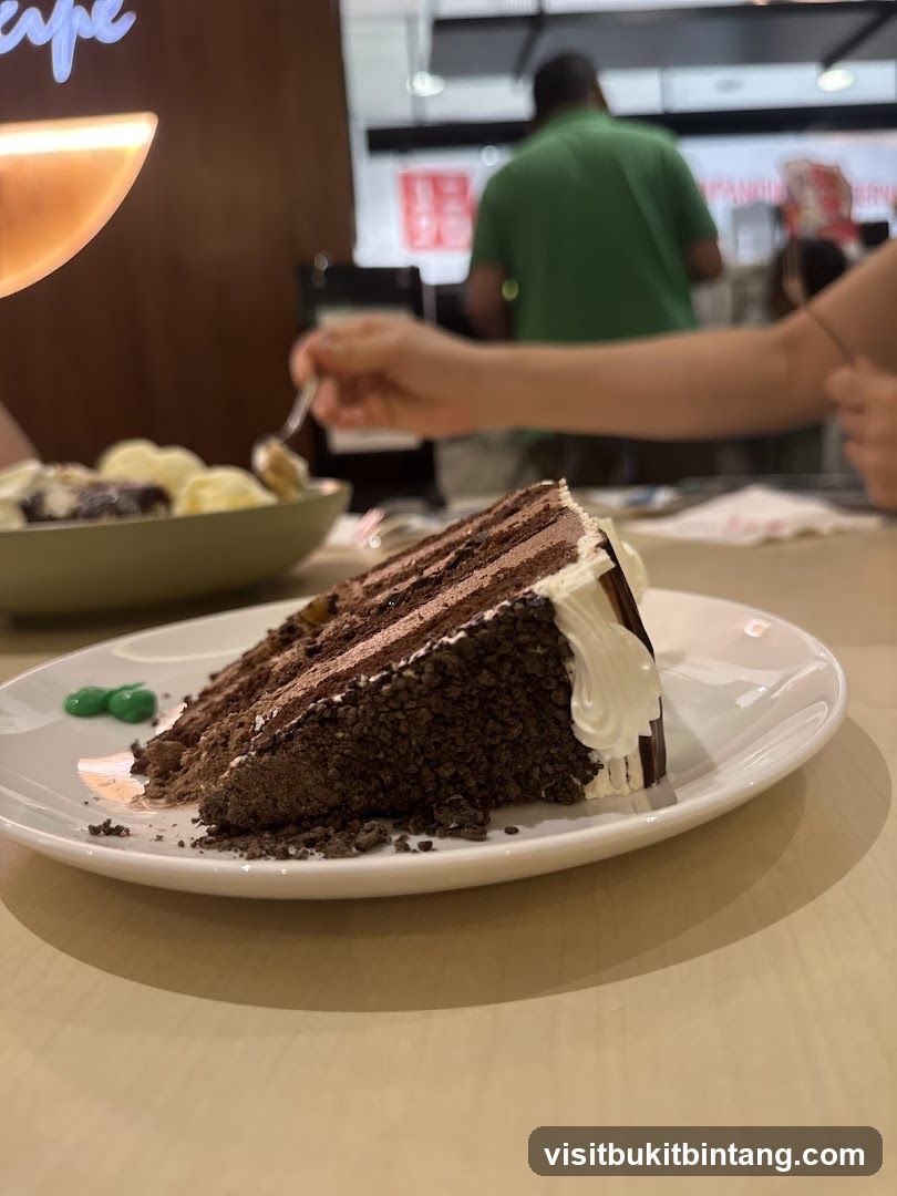 Chocolate Cake Slice