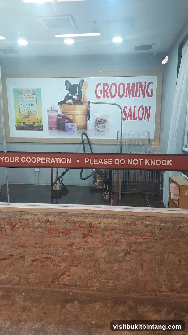 Grooming Salon Interior