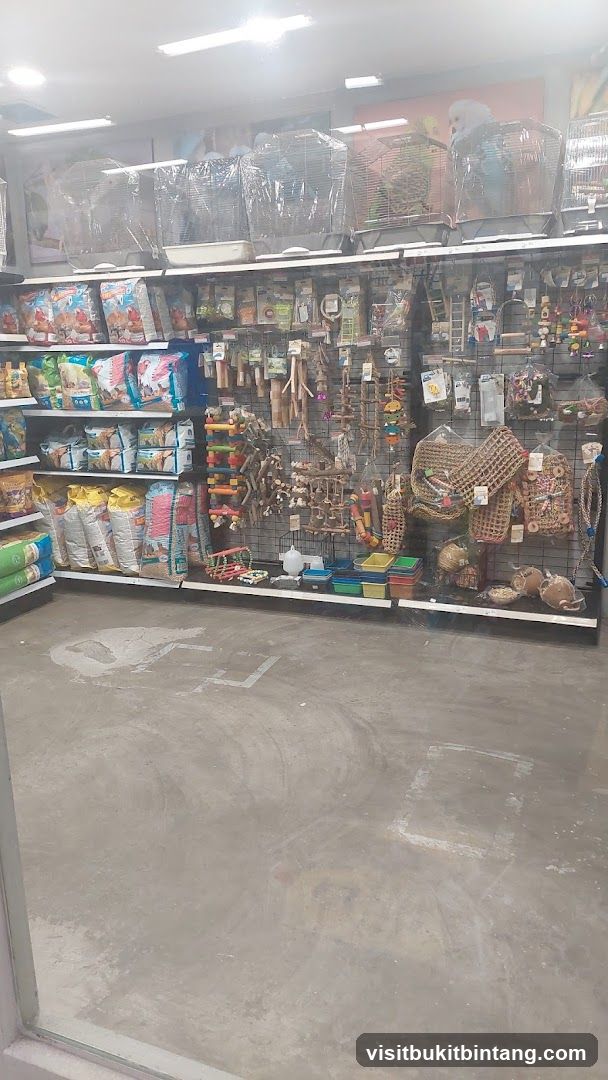 Pet Store Interior