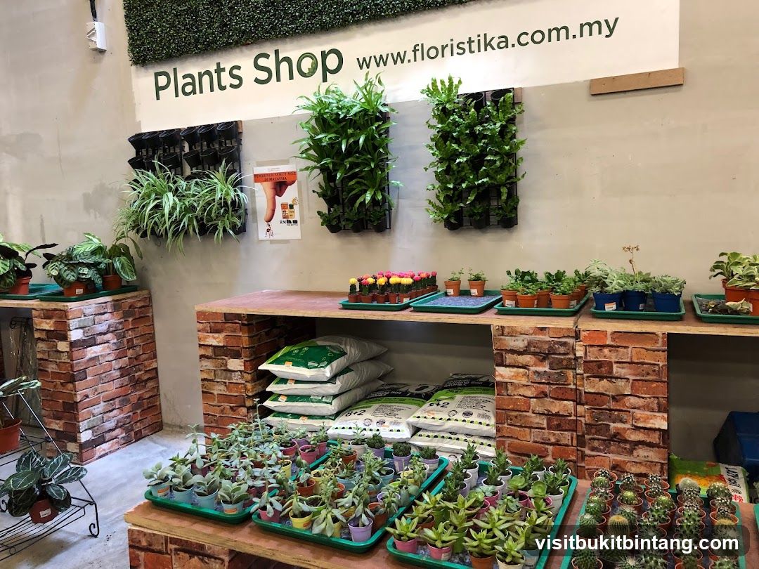 Plants Shop