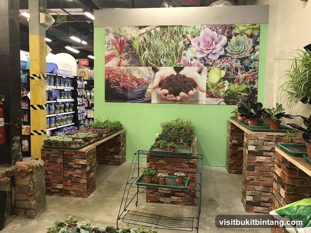 Indoor Plant Display