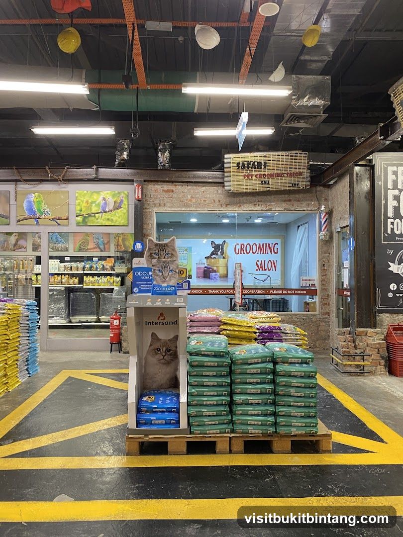 Pet Store Interior