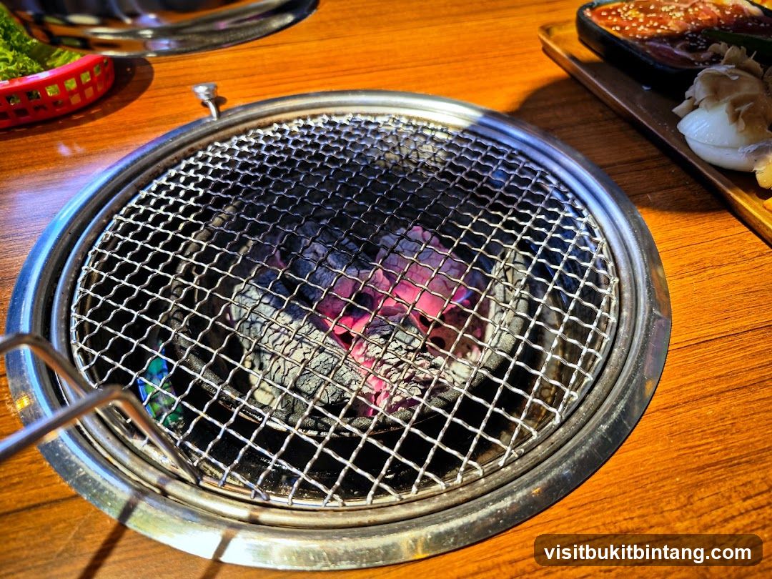 Grill with Coals