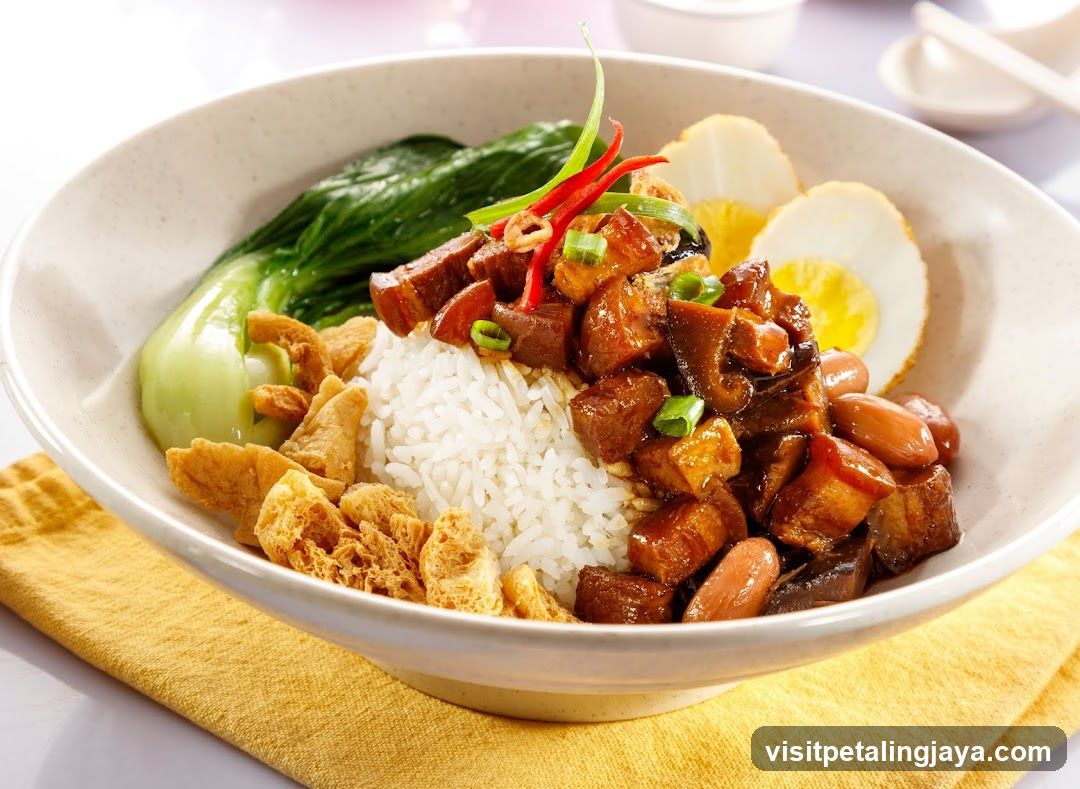 Braised Pork Rice Bowl