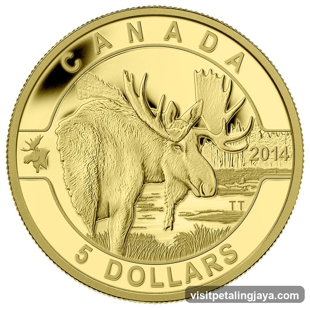 Canadian 5 Dollar Gold Coin - Moose