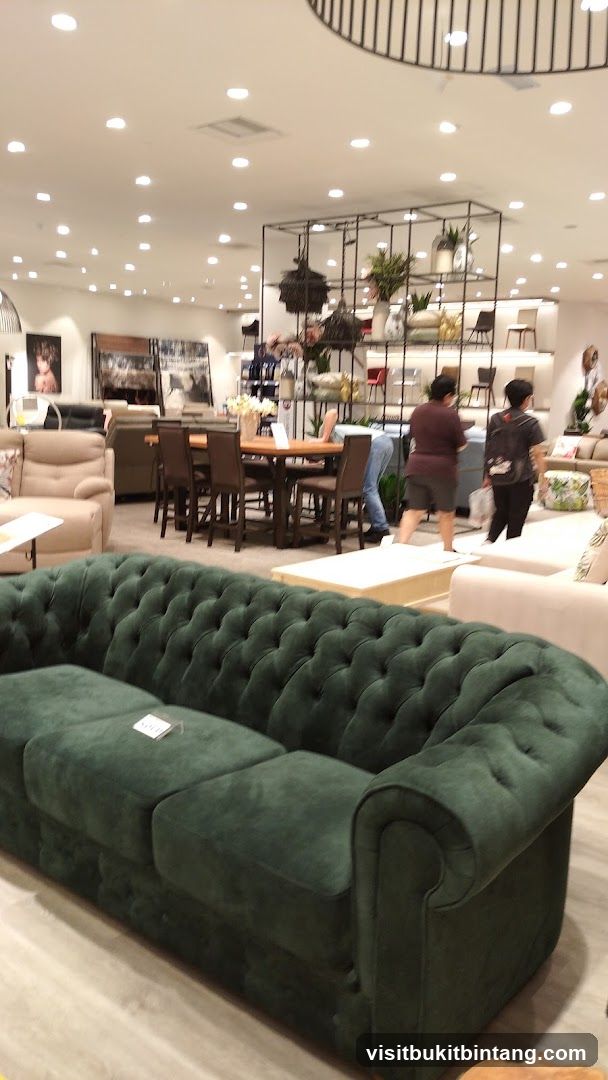 Furniture Store Interior