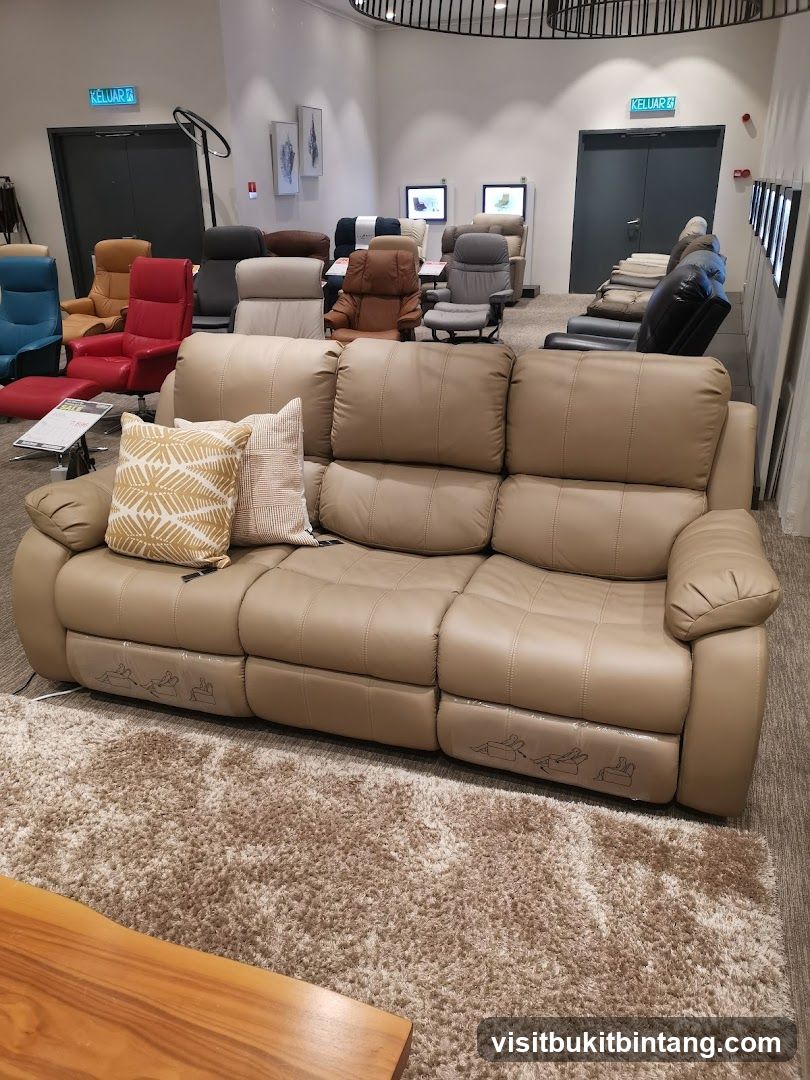 Reclining Sofa Display