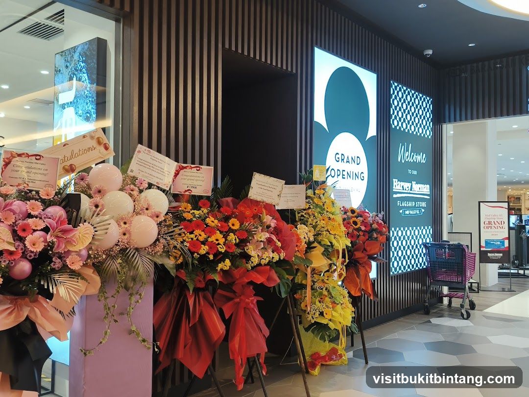 Grand Opening Decorations