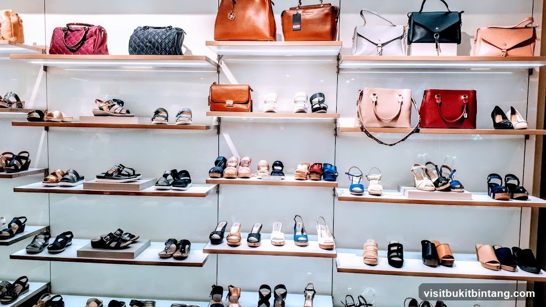 Handbags and Shoes Display