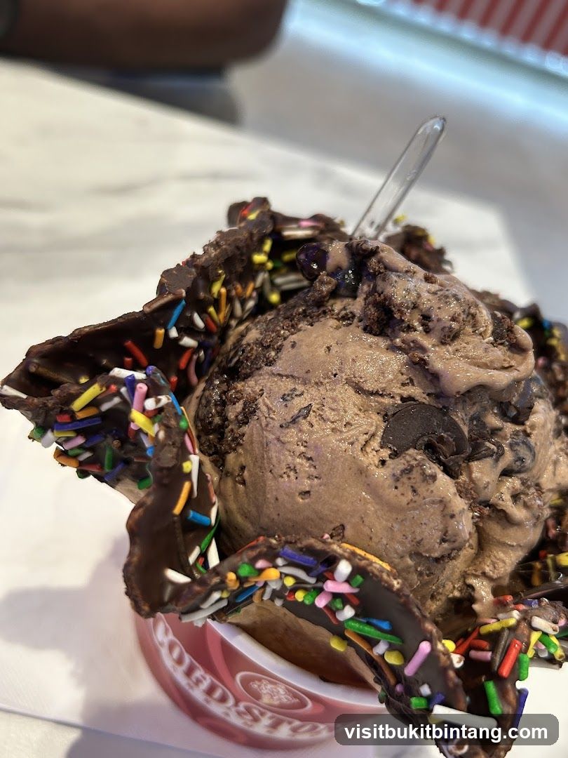 Chocolate Ice Cream with Sprinkles