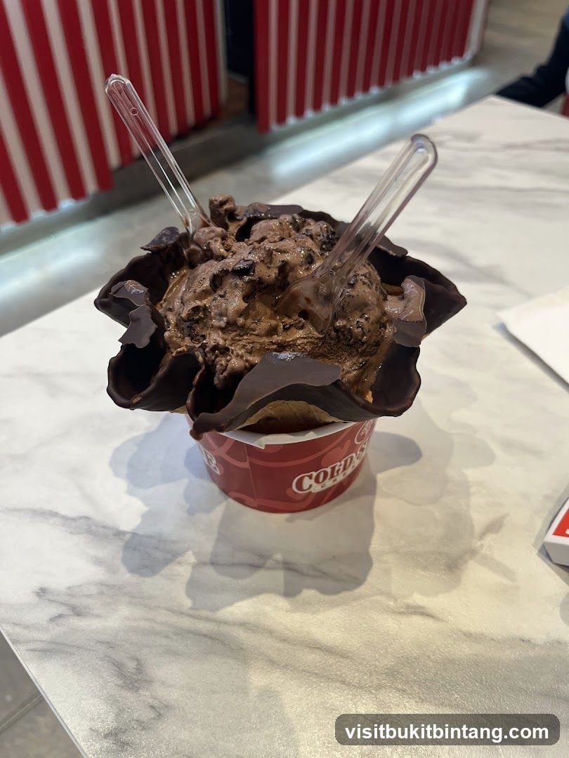 Chocolate Ice Cream Sundae