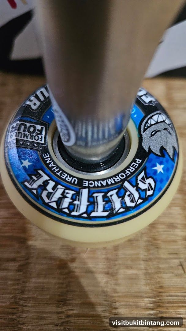 Skateboard Wheel