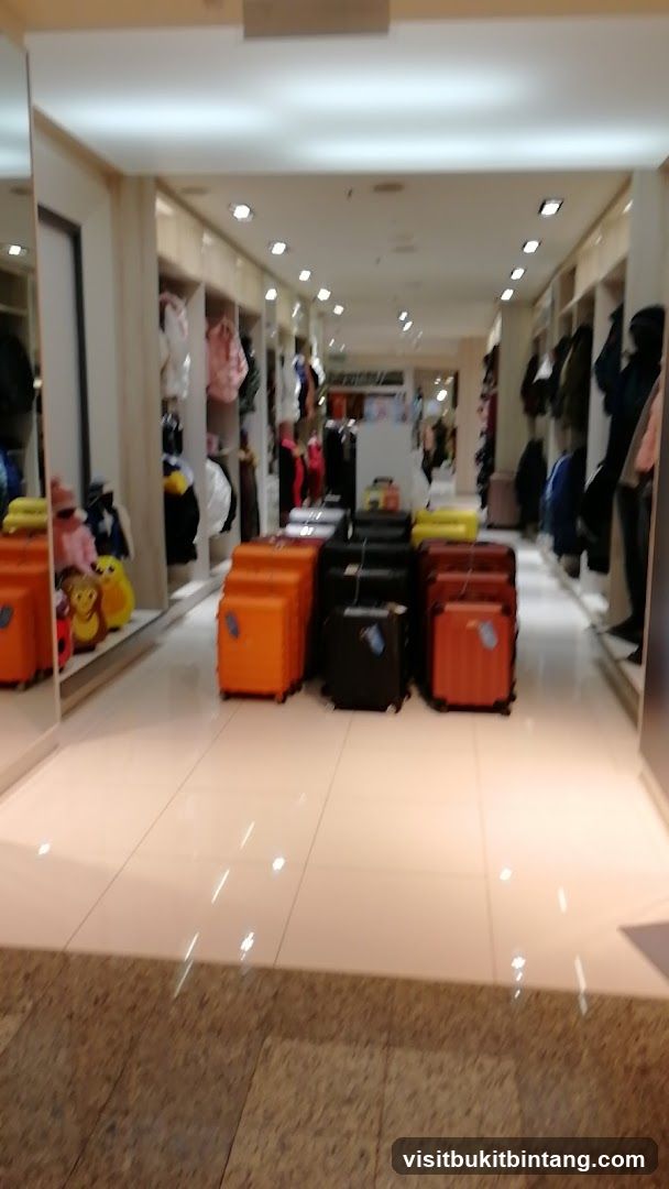 Luggage and Apparel Display