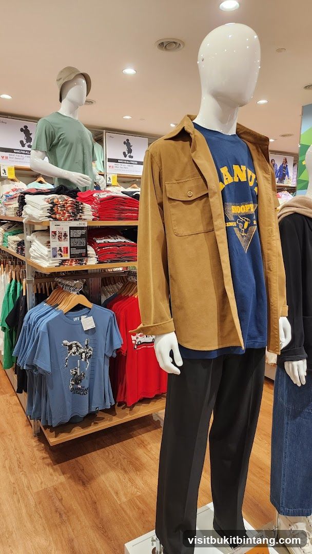 Mannequins in a Clothing Store