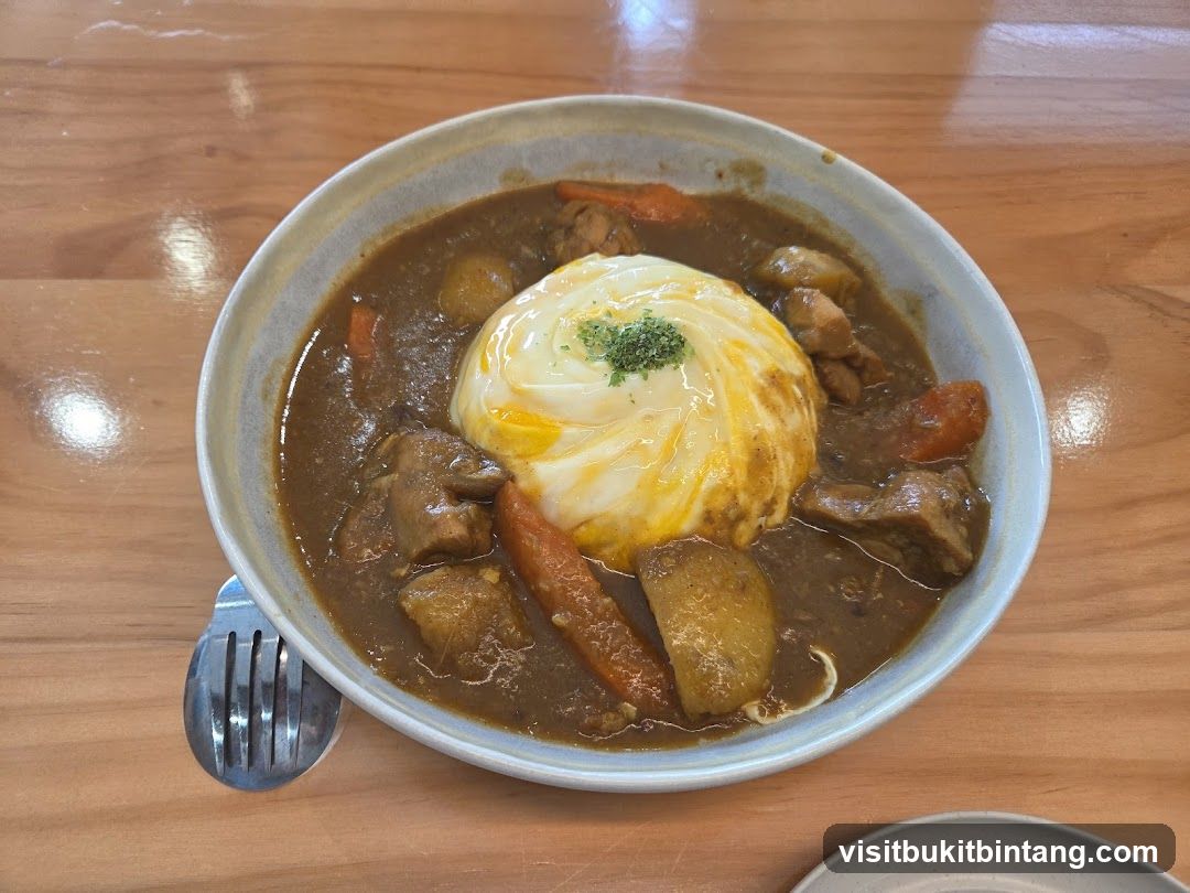 Curry with Omelette