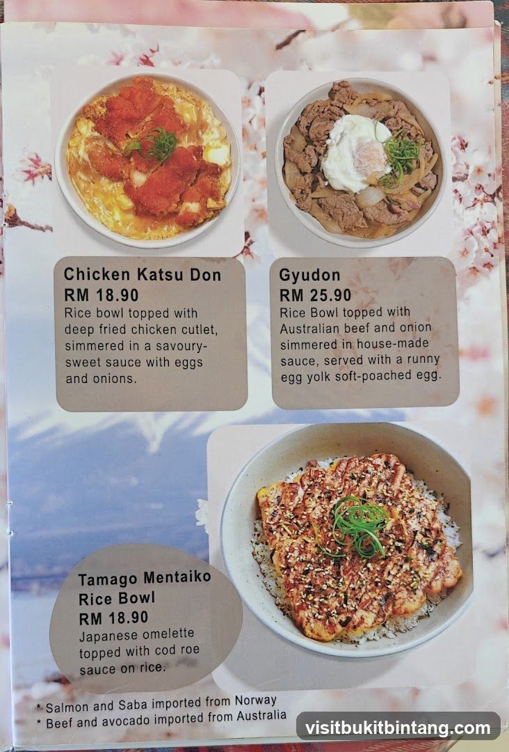 Japanese Rice Bowls