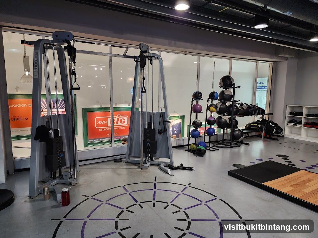 Gym Interior with Exercise Equipment