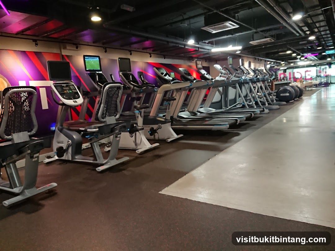 Gym interior with cardio equipment