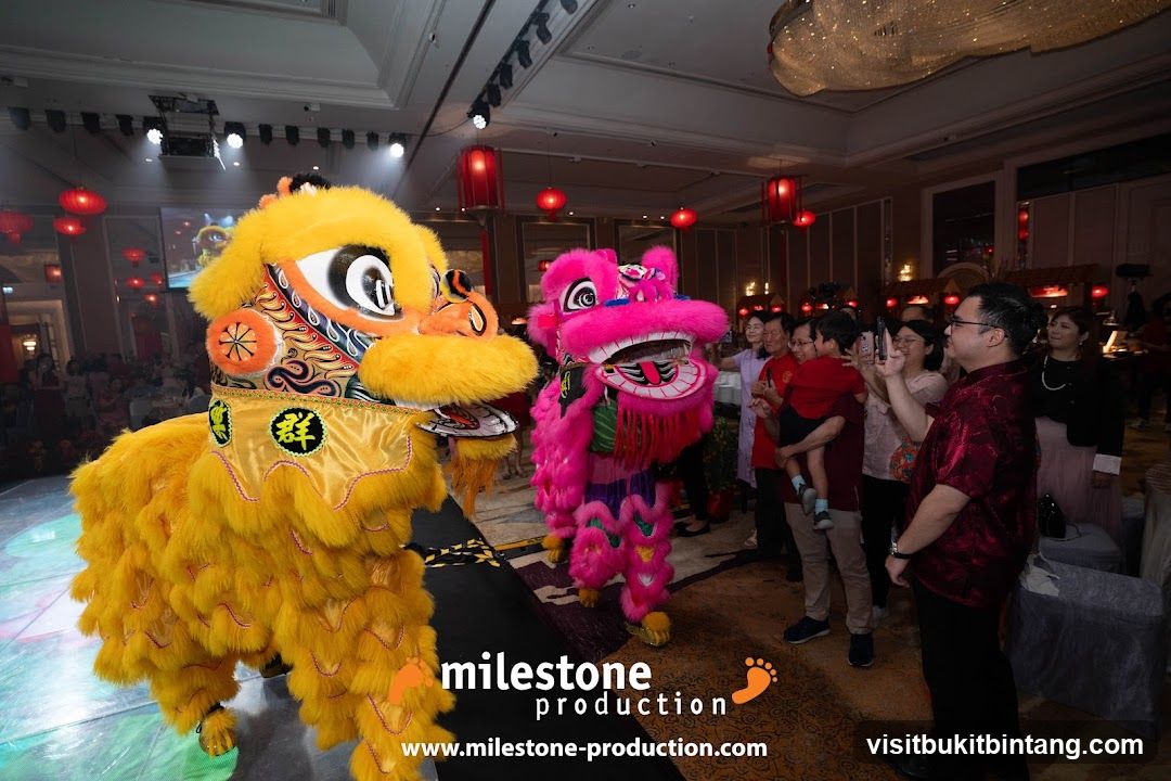 Lion Dance Performance