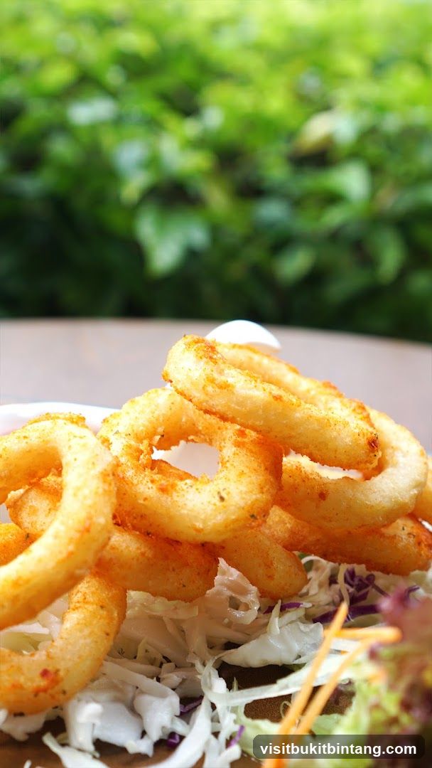 Crispy Onion Rings with Salad