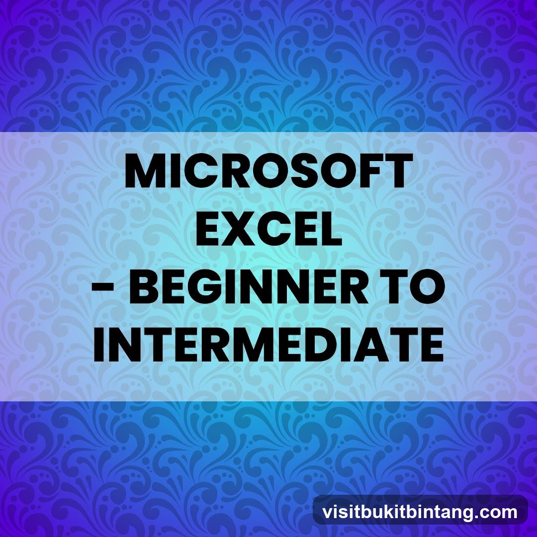 Microsoft Excel - Beginner to Intermediate