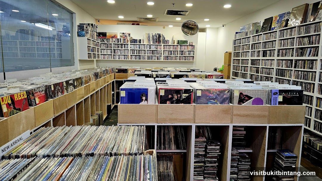 Record Store Interior