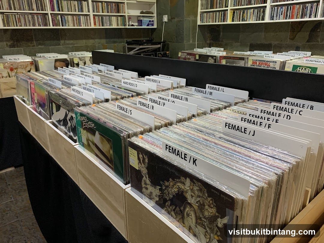 Record Store Aisles