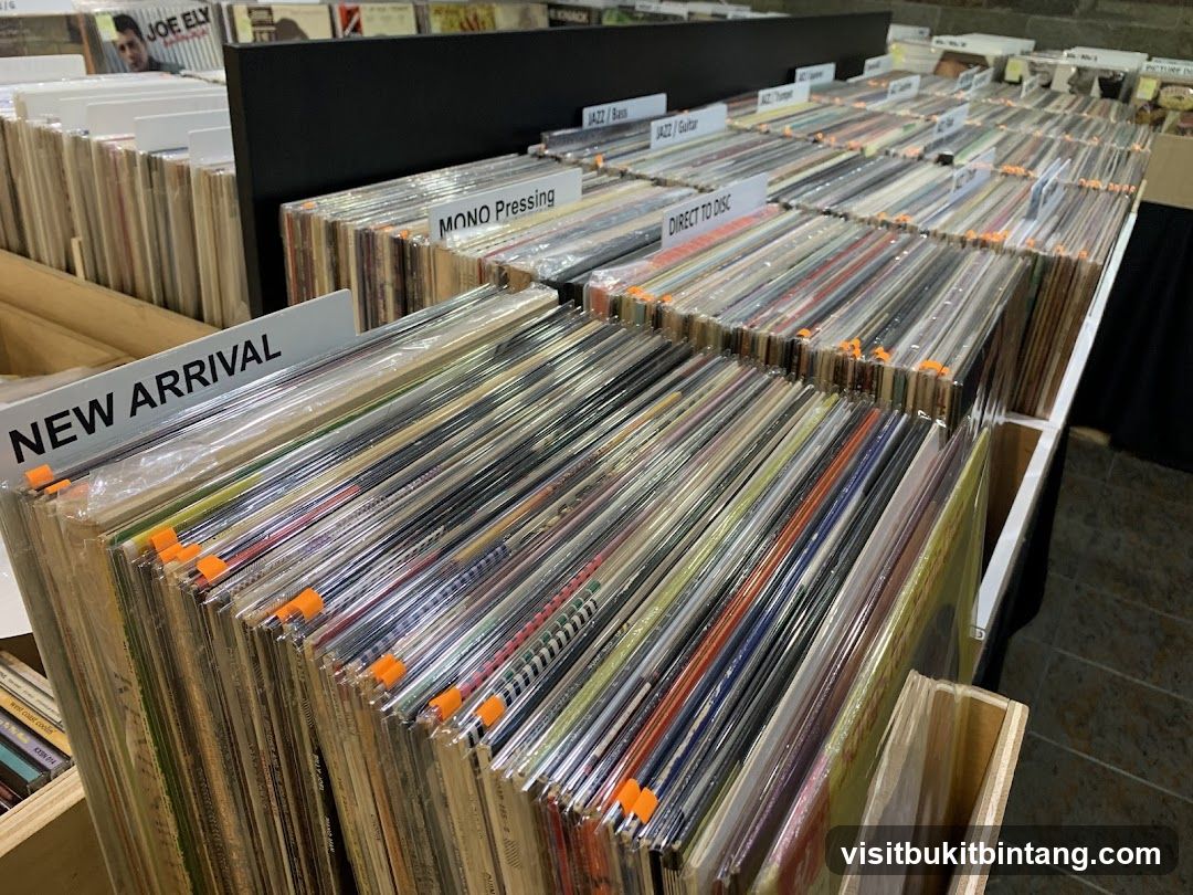 Record Store Display