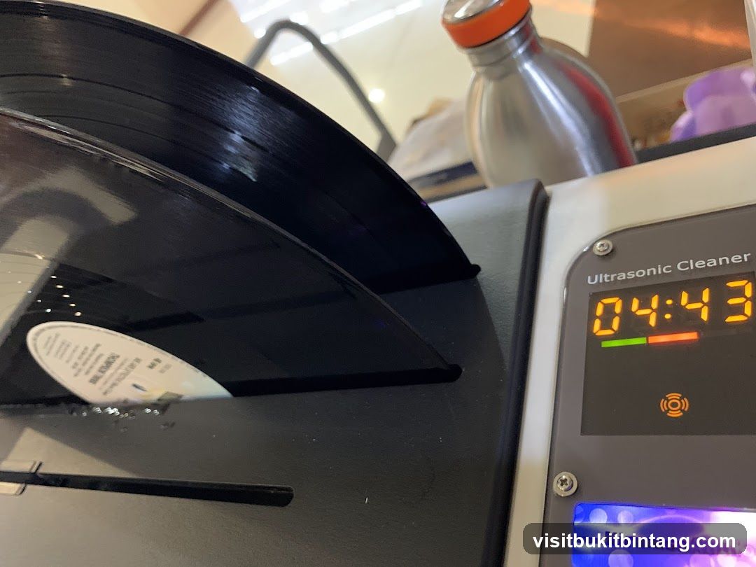 Vinyl Record Cleaning