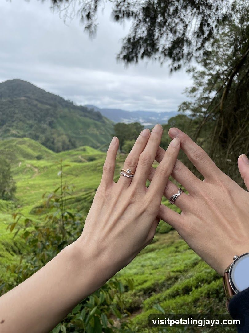 Hands with rings against tea plantation view