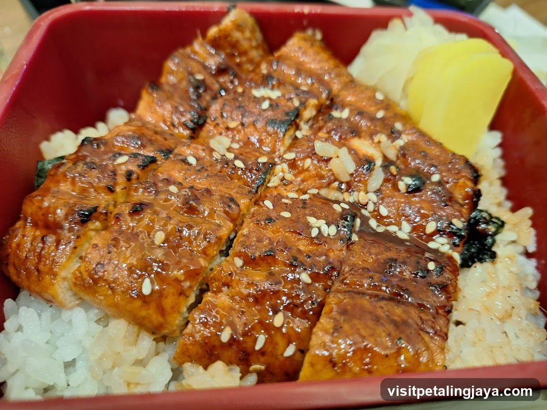 Eel Rice Bowl