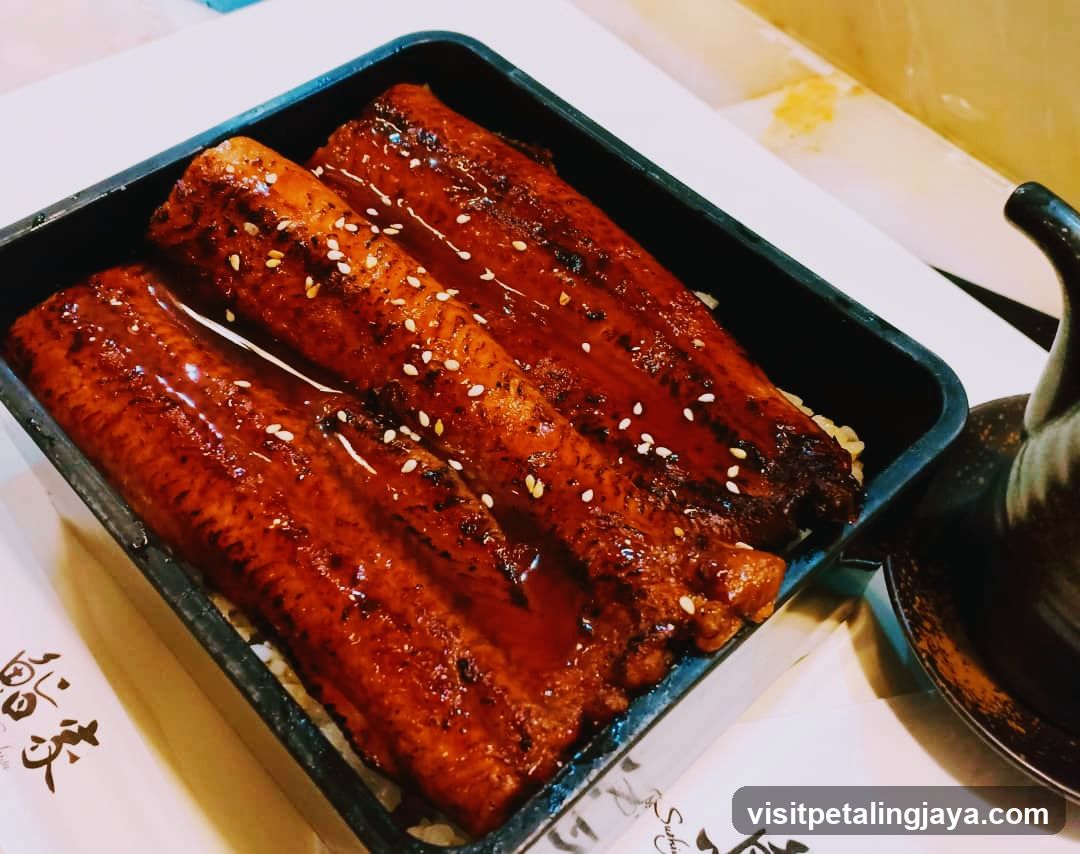 Eel Rice Bowl