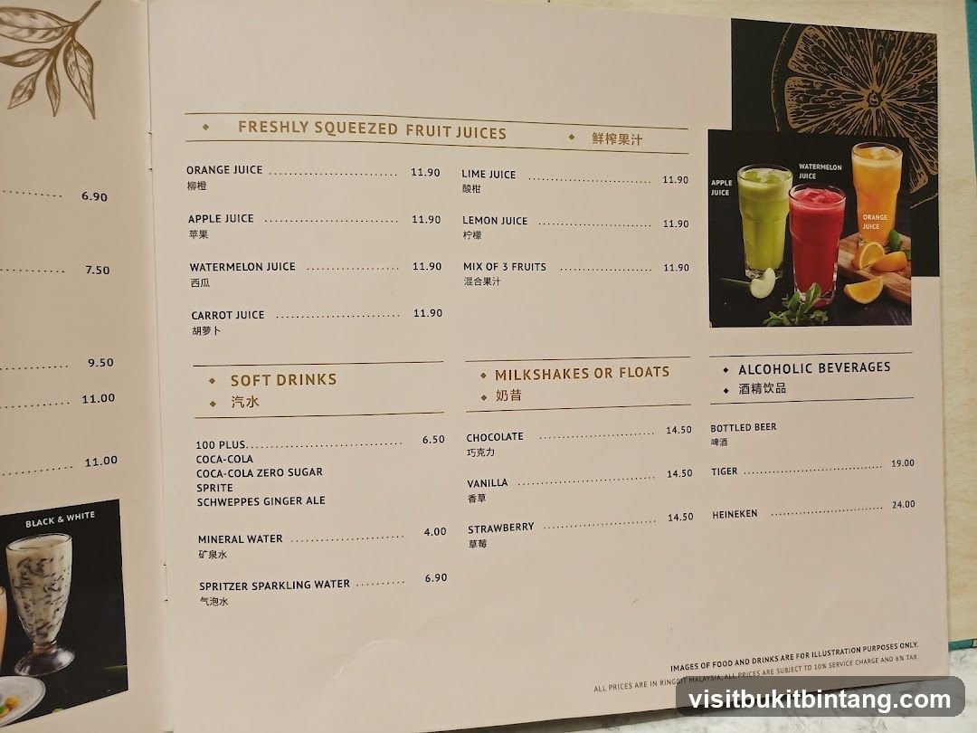 Freshly Squeezed Fruit Juices, Soft Drinks, Milkshakes or Floats, Alcoholic Beverages