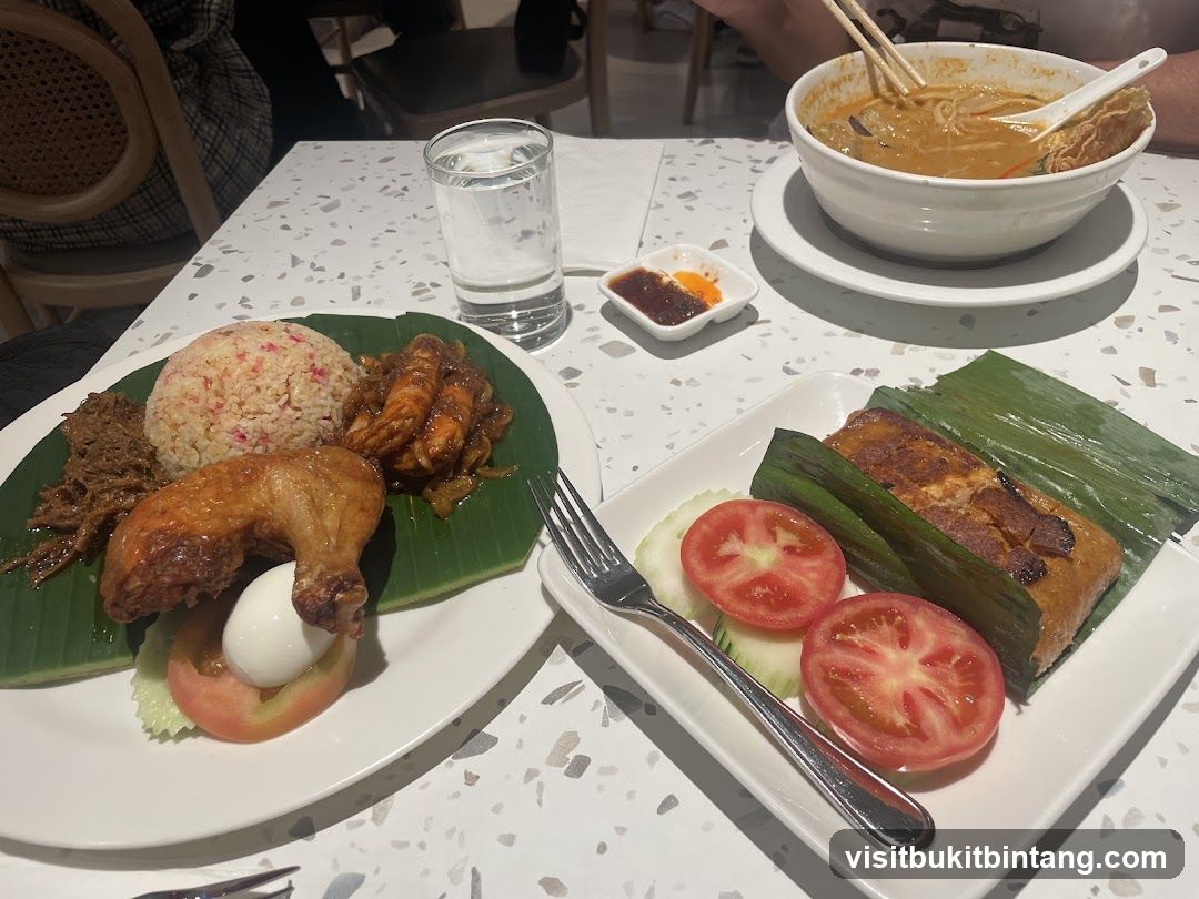 Nasi Lemak and Curry Noodles